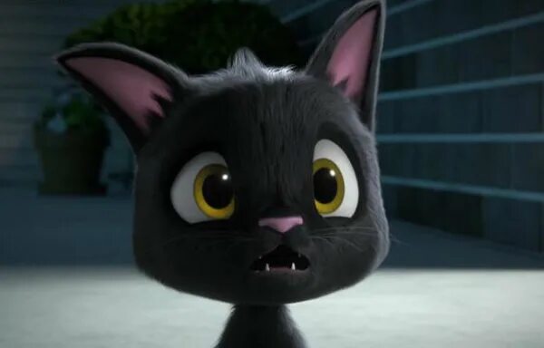 Жил был кот на русском языке. Жил был кот на русском языке