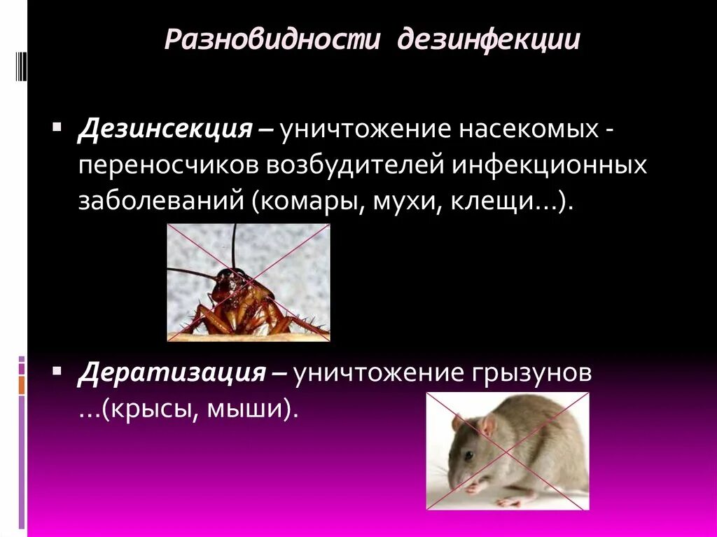 Грызун переносчик заболеваний. Это уничтожение грызунов-переносчиков инфекционных заболеваний.. Переносчики трансмиссивных заболеваний. Уничтожение грызунов Дератизация. Уничтожение насекомых переносчиков инфекционных заболеваний.