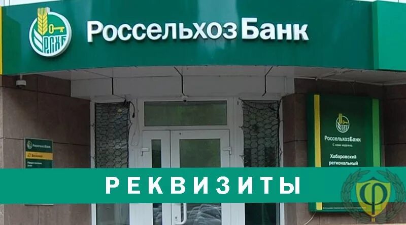 Бики банков кирова