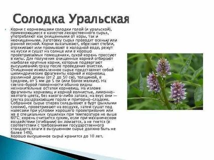 Вкус солодки какой