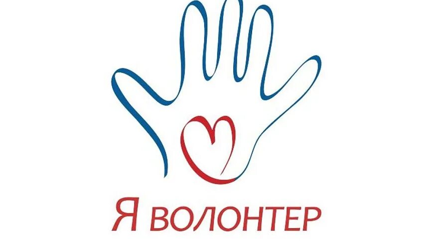 Волонтерские программы на год. Волонтерские программы на год