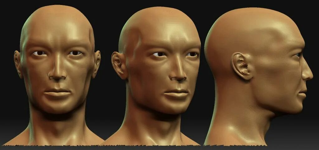 форма головы меняется