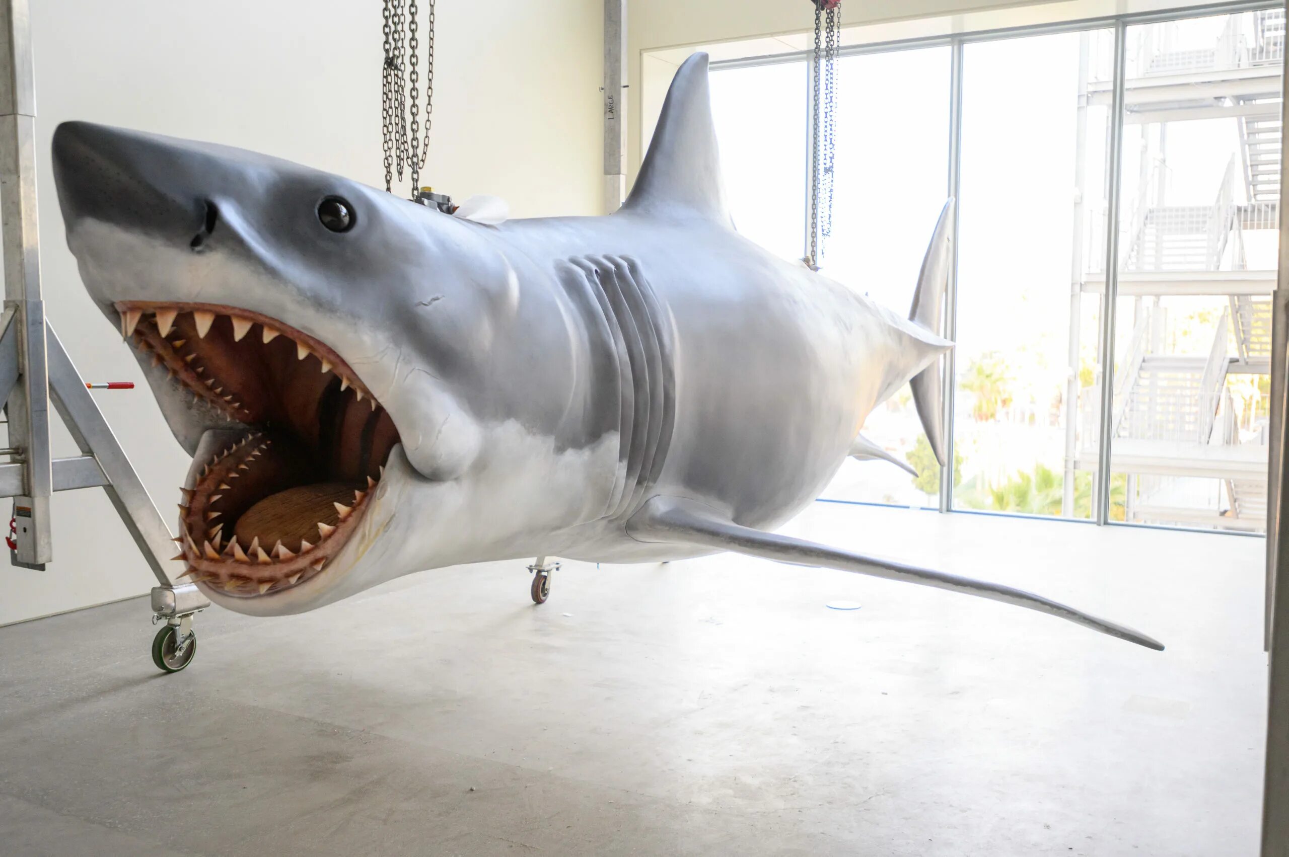 Jaws. Jaws