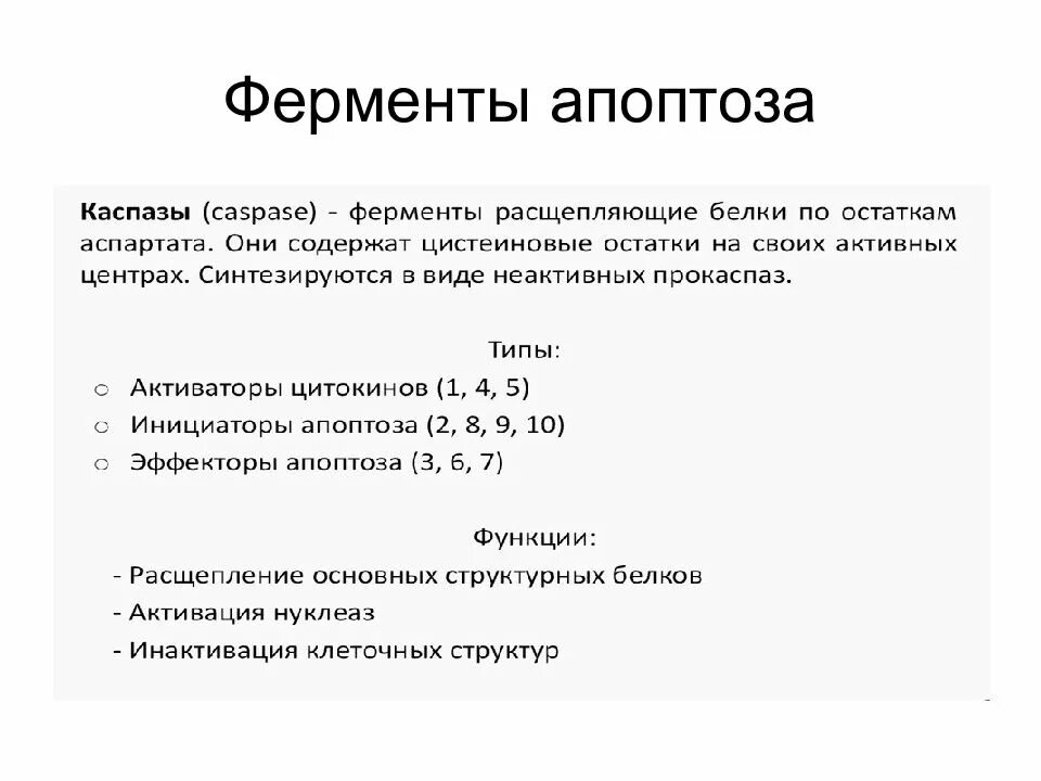 Ферменты апоптоза. Основные ферменты апоптоза. Ферменты при апоптозе. Охарактеризуйте ферменты апоптоза.. Содержит ферменты осуществляющие апоптоз