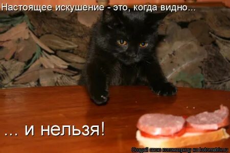 Опять под