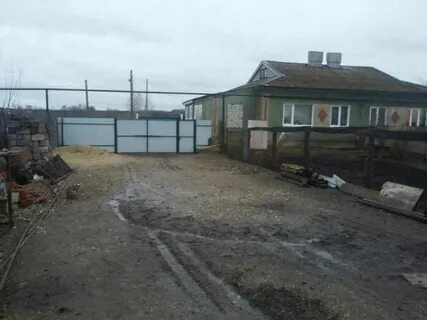 Марьино лашмино саратовская область