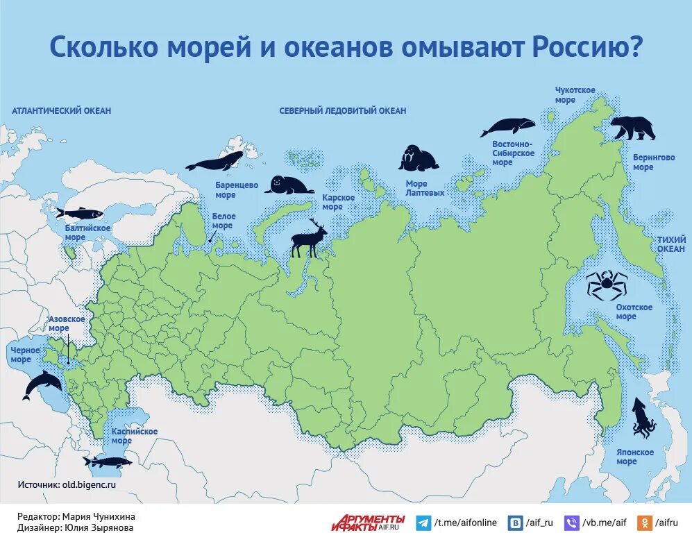 3 океана омывающие россию. Моря омывающие Россию. Моря и океаны омывающие Россию. Моря и океаны омывающие Россию на карте. Воды омывающие Россию.