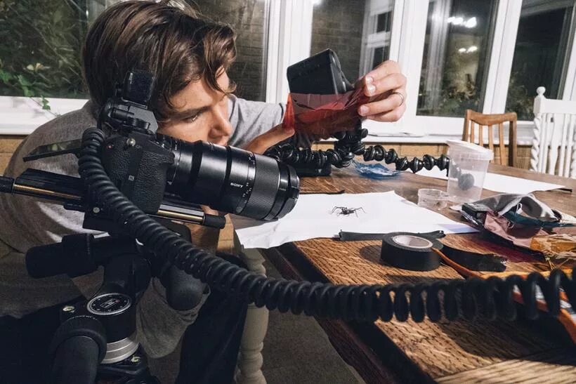 Камера для макросъемки. Объектив pvl-v50500d. Макрообъектив для canon. Как снимают макросъемки. Как снимают макросъемки.