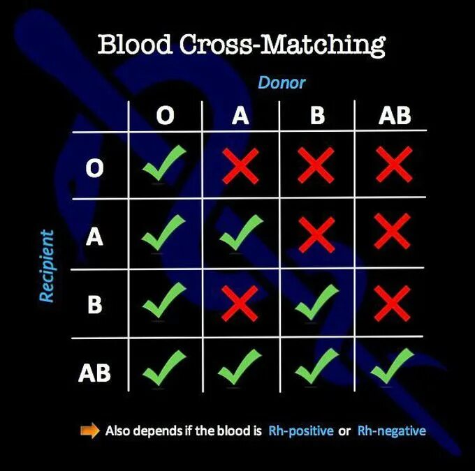 Cross match. МОРФА Cross Blood. Кросс-матч тест трансплантация. Анализ кросс матч.