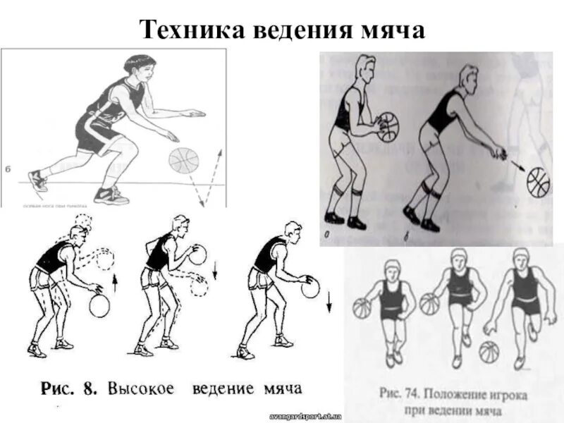 Техники ведения мяча в баскетболе. Ведение с высоким отскоком мяча в баскетболе. Ведение с низким отскоком мяча в баскетболе. Ведение баскетбольного мяча в разных стойках. Ведение мяча с изменением высоты отскока