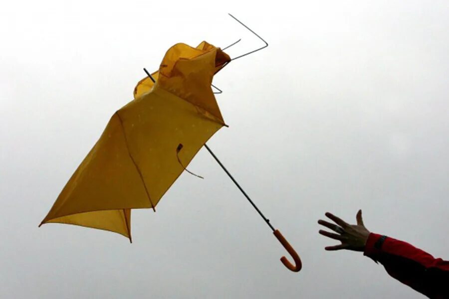 Сломанный зонтик. Зонт улетает. Ветер и зонт. Летающий зонтик. Зонтик ветер