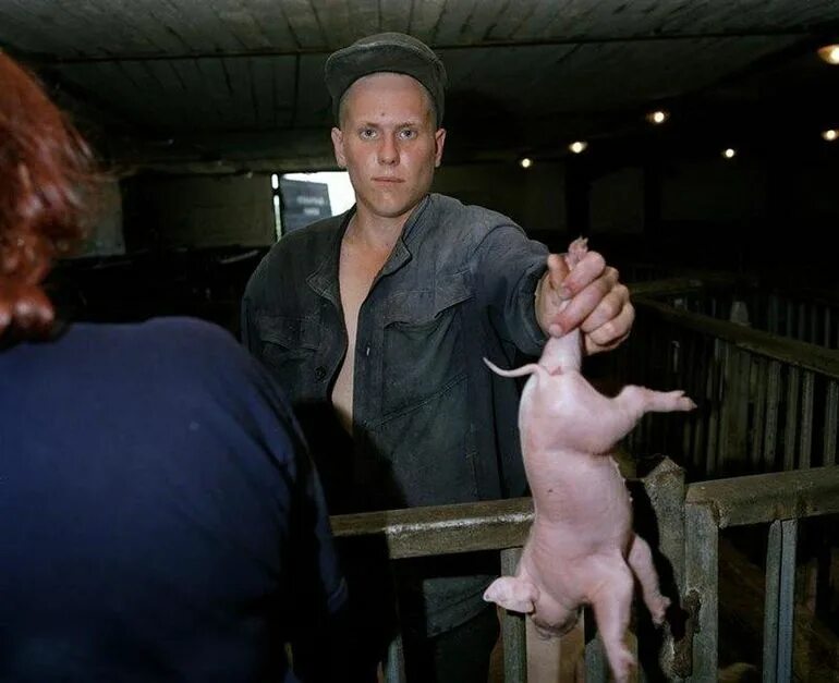 Про малолетнюю тюрьму