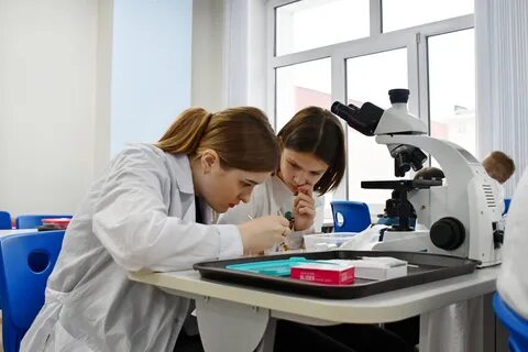 Наука алтайского края