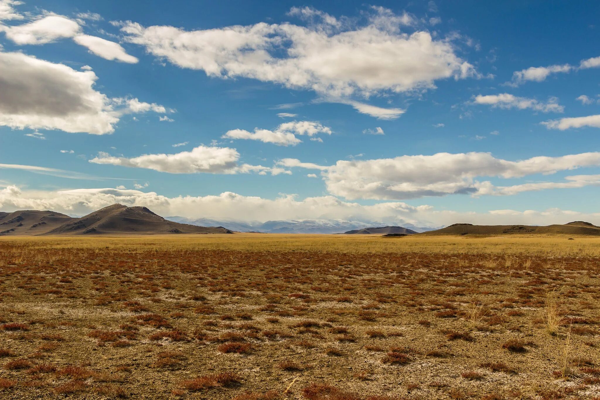 Природа монголии - степи. Сопки монголии. Улан батор природа. Монголы в степи. Степи монголии.