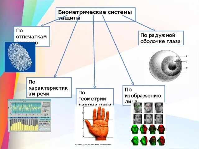 Какие данные относятся к биометрическим. Какие данные относятся к биометрическим