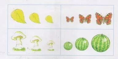 Үлкен заттарға кискасын отырғызады