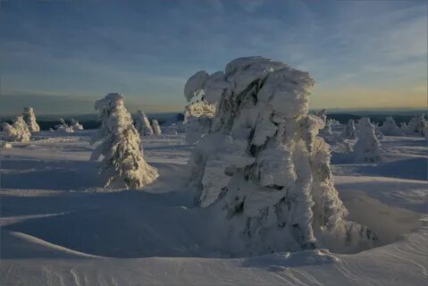 Мягкая зима климат