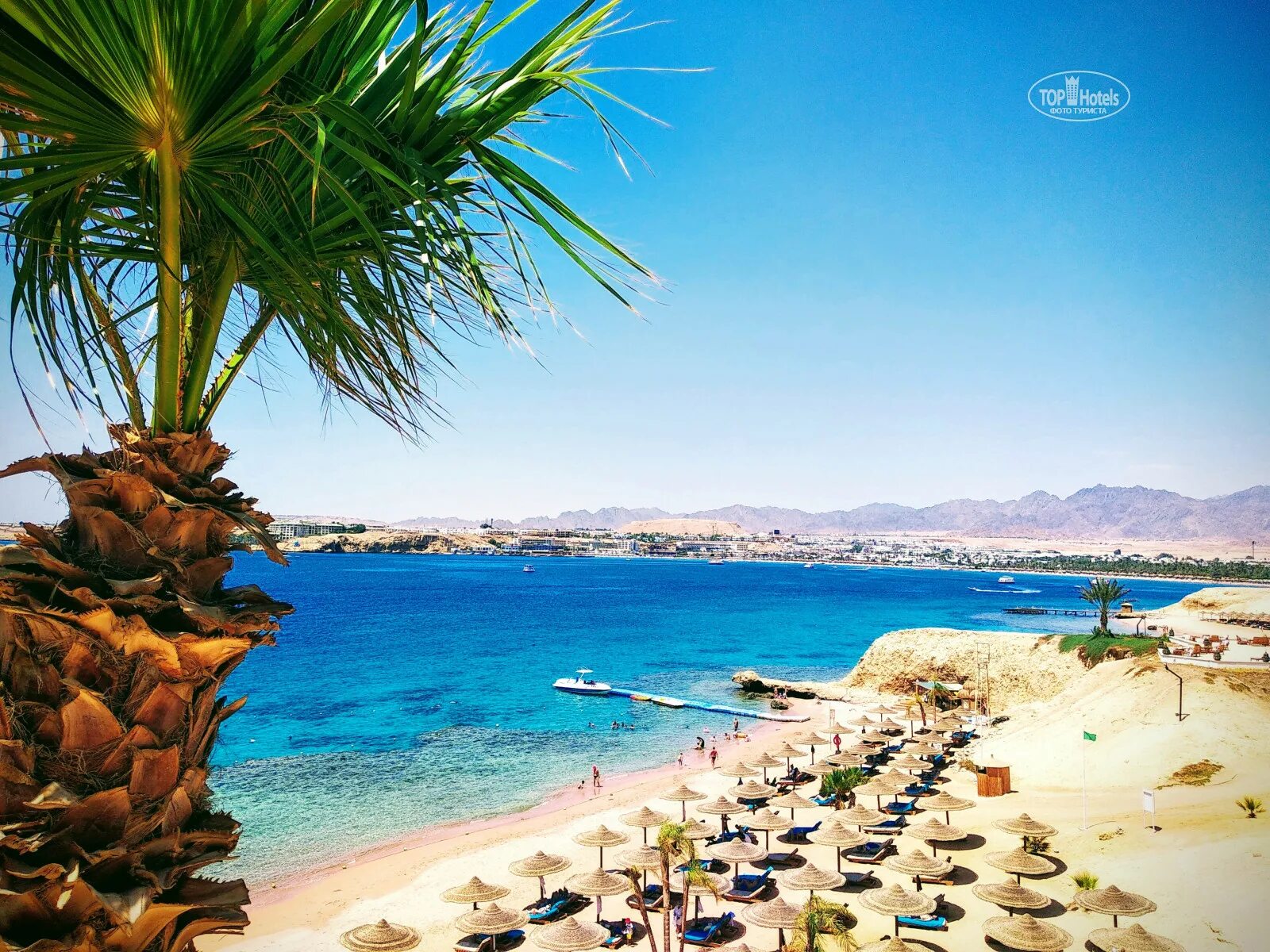 хургада отель grand seas resort. шарм-эль-шейх. шармель шейх египет. шамс сафага хургада. сиерра отель шарм-эль-шейх.