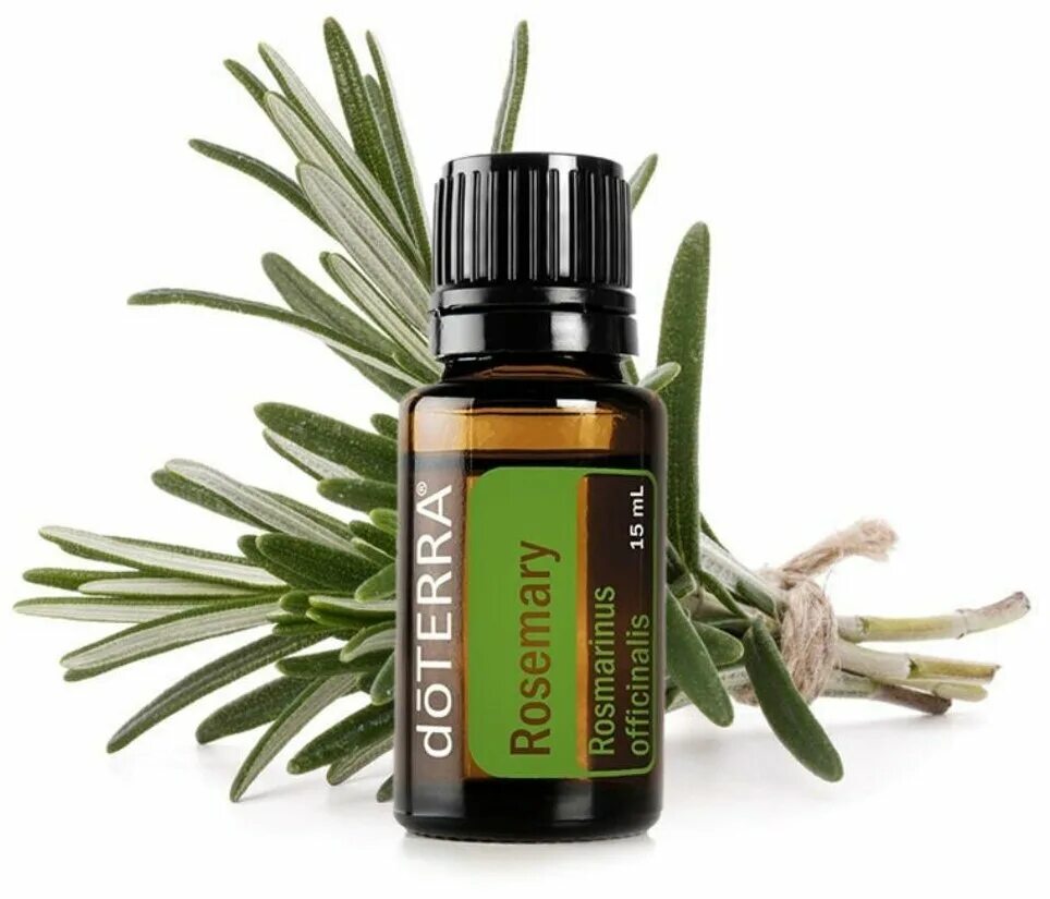 Дотерра масло ели. Масло розмарина ДОТЕРРА. Эфирное масло розмарин DOTERRA. Розмарин для волос ДОТЕРРА. Иланг-иланг DOTERRA.