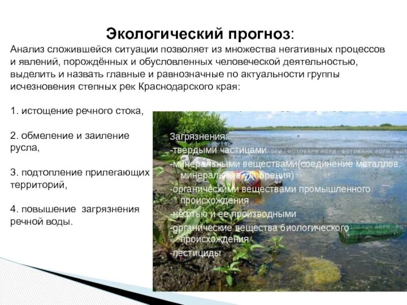 Что такое экологический прогноз кратко. Экологический прогноз. экологическое прогнозирование. экологические прогнозы примеры. экологический прогноз 3 класс.