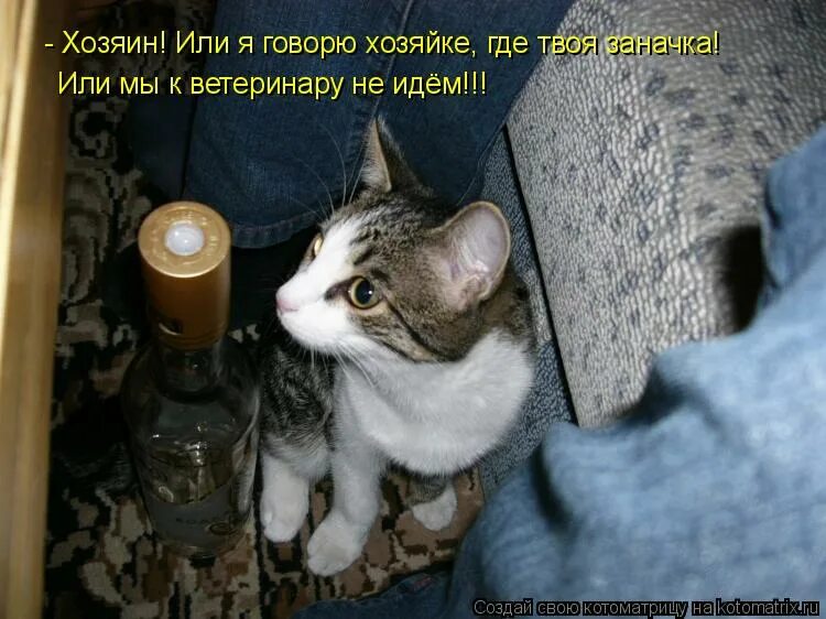 а потом отравился печенюшкой анекдот. иди сюда поговорим живой. шел хозяин. презентация собак для продажи. нет наполовину.