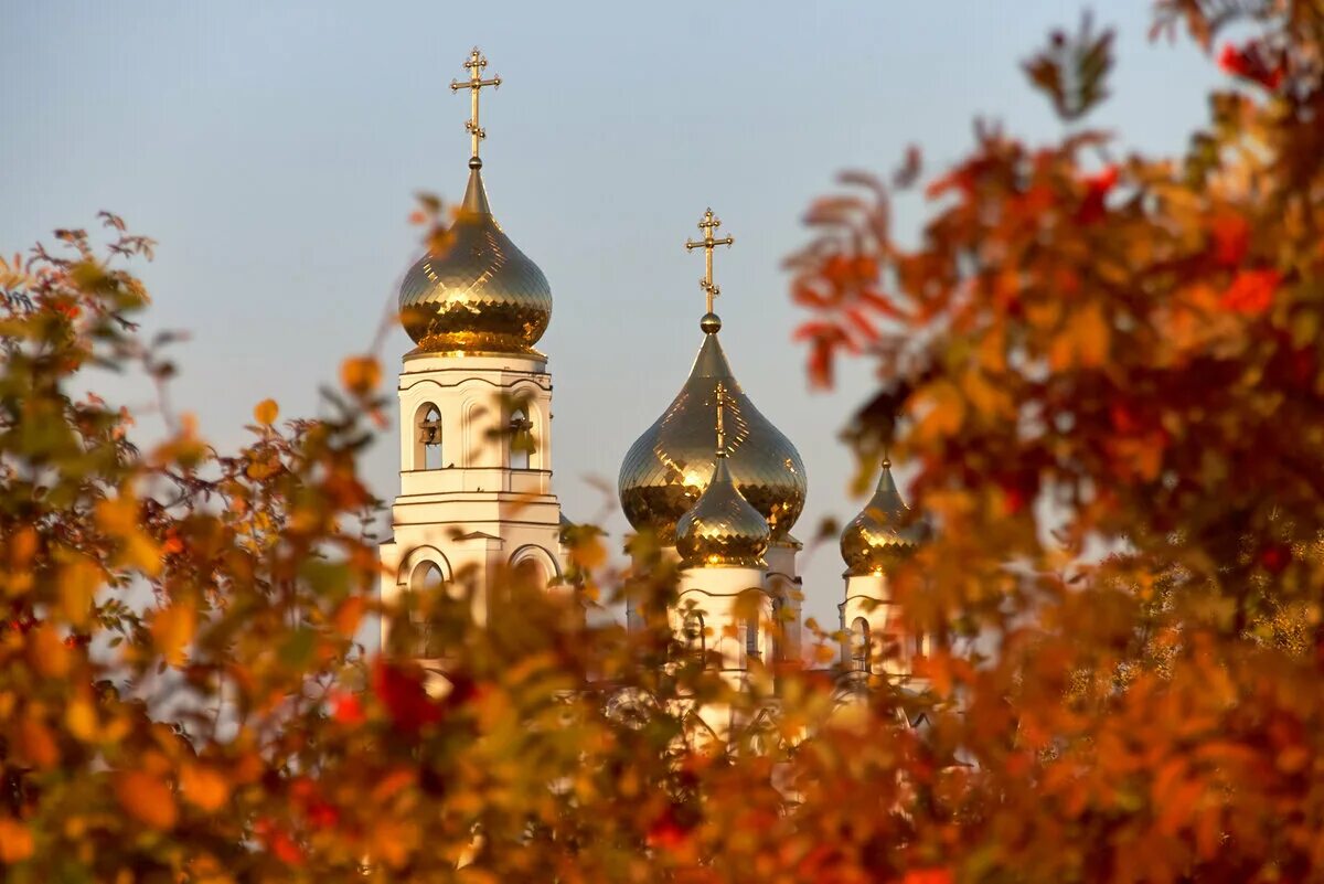 5 октября церковь. Православный храм охра. Обои на рабочий стол Православие. Лес и Православие. Православный храм среди сакур.