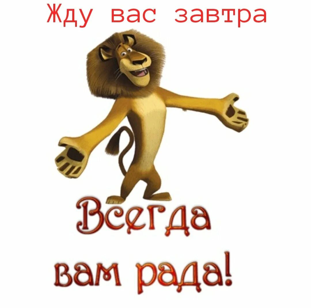 Всегда вам рады. Мы всегда вам рады. Ждем вас в гости. Я вам всегда рада. Приходите вам понравится