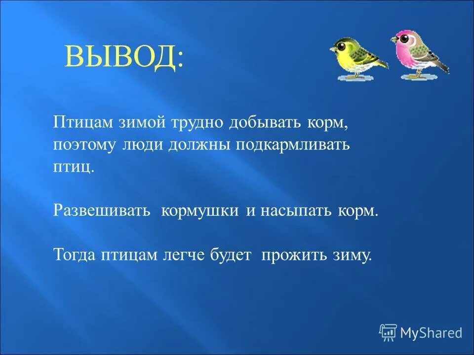 Почему птицы наши друзья. Вывод на тему птицы. Презентация на тему птицы. Птицы для презентации. Заключение про птиц.