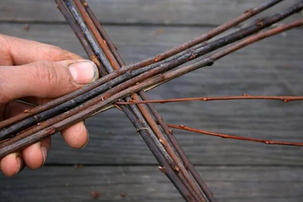 Плетение корзин из ивы. Плетение корзин из ивы. Собрать лозу. Собрать лозу. Прутья для плетения корзин.