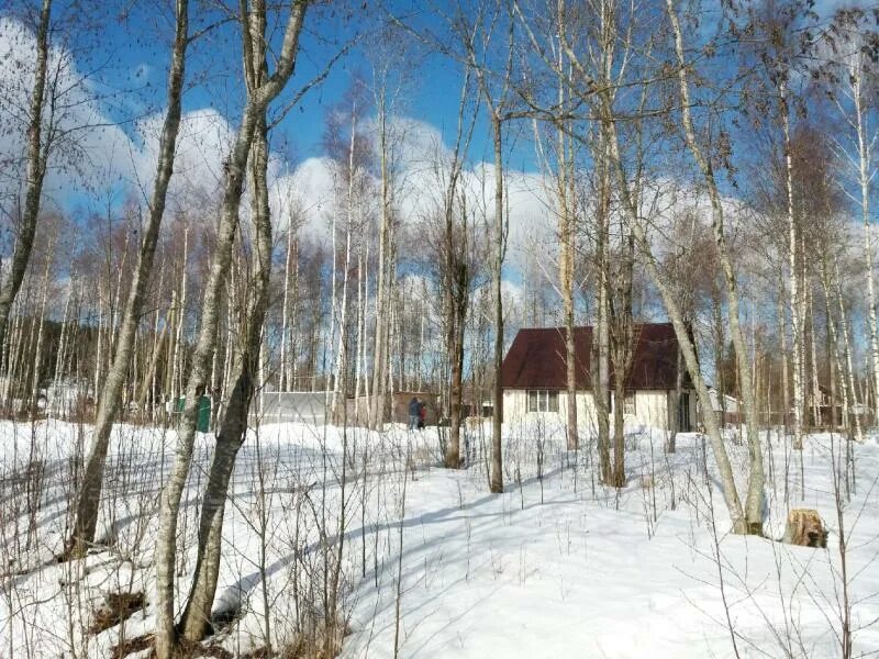 Купить участок большое поле. Посёлок большое поле. Большое поле Выборгский район. Усадьба большое поле Выборгский район. Новое поле Полевая 31.