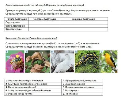 Таблица адаптации 11 класс