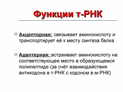 Роль т системы