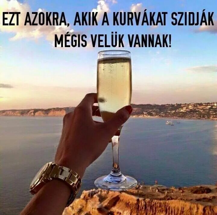 Такую бы жизнь каждому