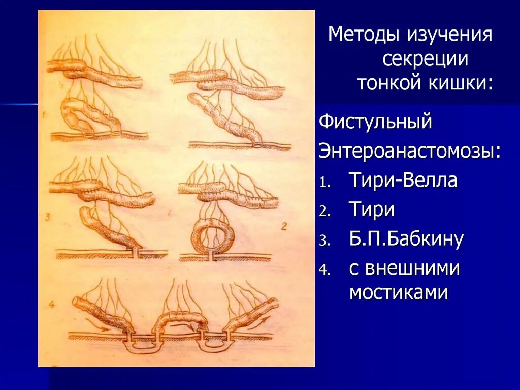 Метод секреции. Методы исследования тонкой кишки. метод исследования тонкого кишечника. изолированная кишки по тири.