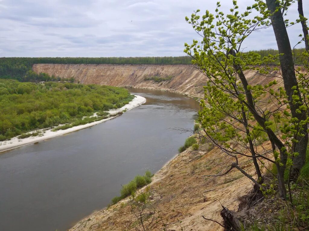Река дон кривоборье. Кривоборье воронежская область отдых с палатками. Урочище кривоборье воронежская область. Кривоборье деревня воронежская область. Урочище кривоборье.