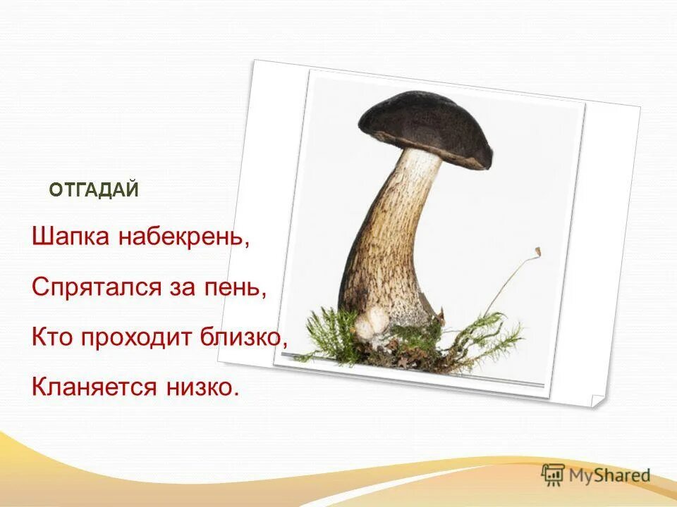 Спиши вставь парные согласные 1 класс. Вставь парные звонкие и глухие в предложение. Крыша набекрень. Набекрень вопрос к наречию. Гриб спрятался сдвинул шапку.