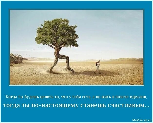 То есть все то что