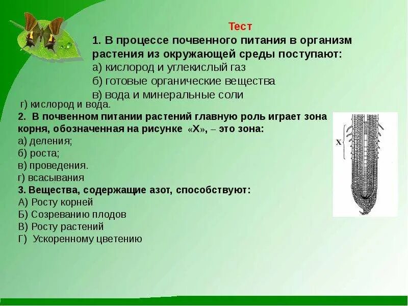 Минеральное питание растений тест по биологии 6. Минеральное питание растений конспект. Минеральное питание растений таблица. Минеральное питание растений задания. Минеральное питание корня.