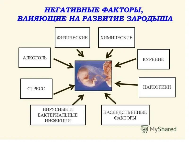 Вредные факторы, влияющие на формирование плода. Внутриутробное воспитание. Влияние наркотиков на эмбрион. Вредные факторы среды влияющие на плод. Вредные факторы, влияющие на формирование плода.