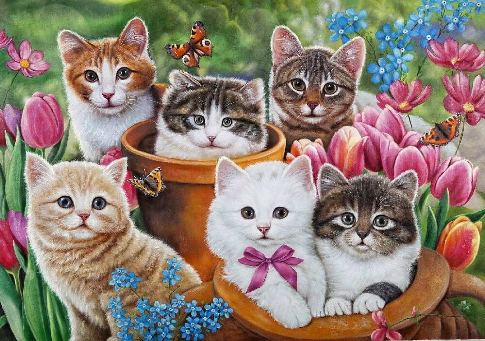 Котята разных цветов. Картина котенок. Котенок иллюстрация. Котята разных цветов для детей.