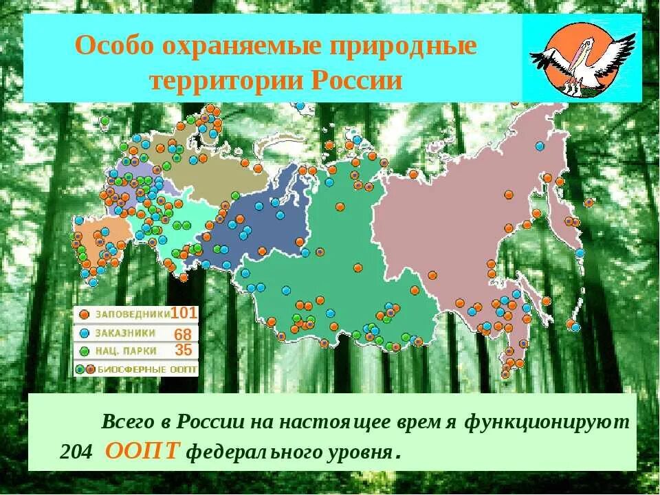 Особо охраняемые природные территории какие виды. ООПТ национальные парки заповедники заказники. Охраняемые территории заповедники национальные парки схемы. Особо охраняемые природные территории России 6 класс география карта. Особоозраняемые природные территории.