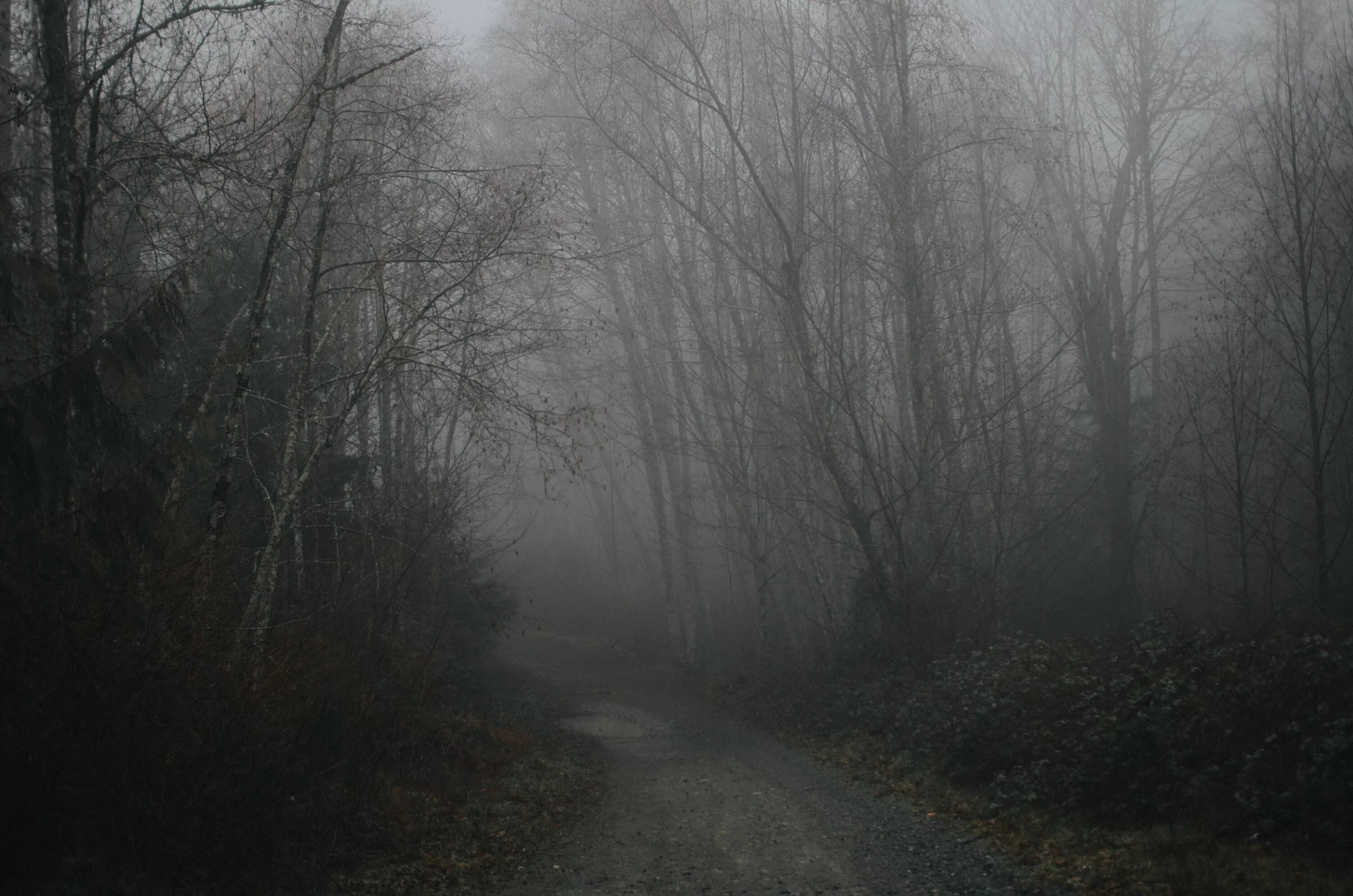 Горка тёмный туман. Туманный пейзаж. Темный туман с hp. Туманное и темное. Жуткий лес.