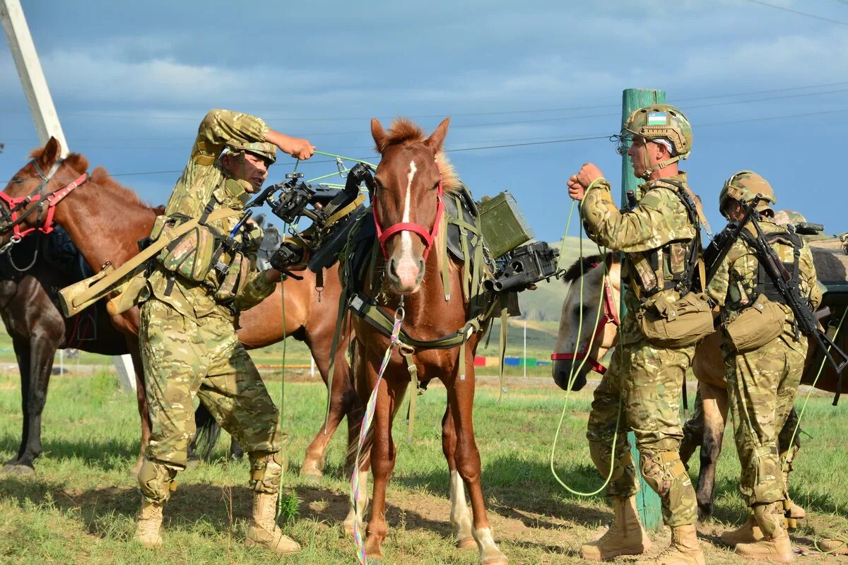 Лошадям 2020 год. Конный марафон конкурс армейских международных игр. Конный марафон в Тыве. Фото конный марафон на Тыве 2020 года. Арми22 в каких странах соревнуются.