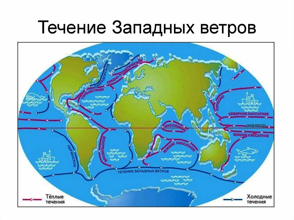 Теплые течения теплого полушария. Течение западных ветров на карте. Течение западных ветров. Теплые морские течения.