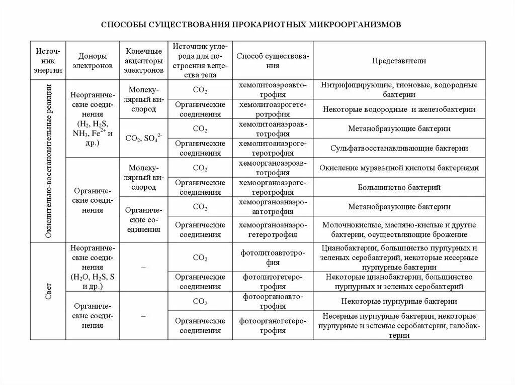 Физиологические свойства бактерий. Тип питания прокариот. Схема питания бактерий 5 класс биология. Типы питания прокариот. Фототрофные прокариоты.