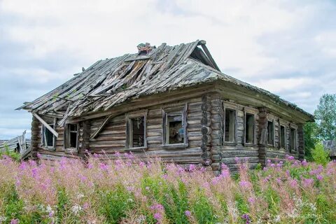 Дом в деревне архангельская область