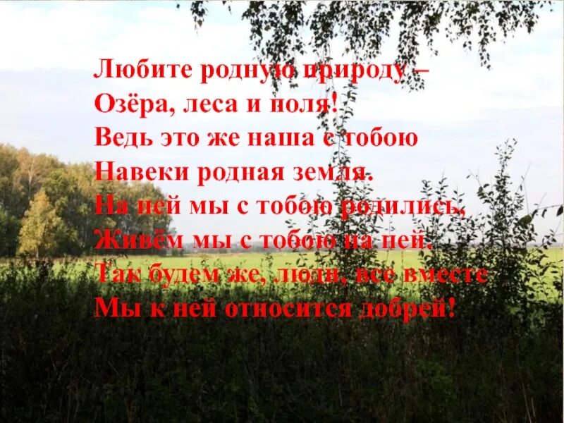 Краткое содержание земля родная. Любите родную природу озера леса и поля. Любите родную природу. Любите родную природу озера. Стих любите родную природу озёра леса и поля.