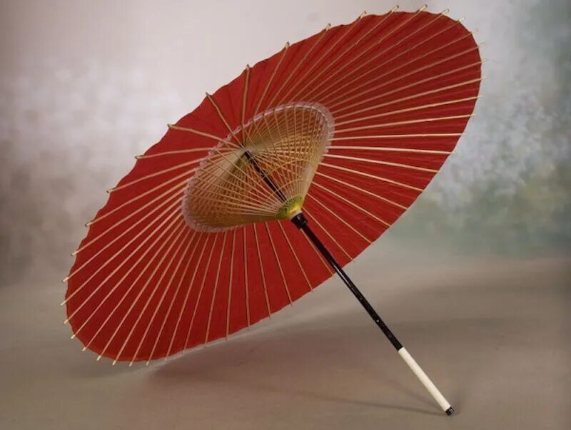 Глаз зонтик. Парасоль зонт японский. Вагаса японский зонт. Wagasa (традиционный японский зонтик).. Зонт чори Япония.