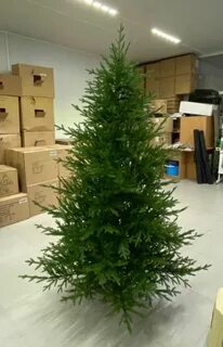 Max christmas отзывы