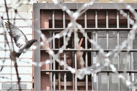 Заключенный 29
